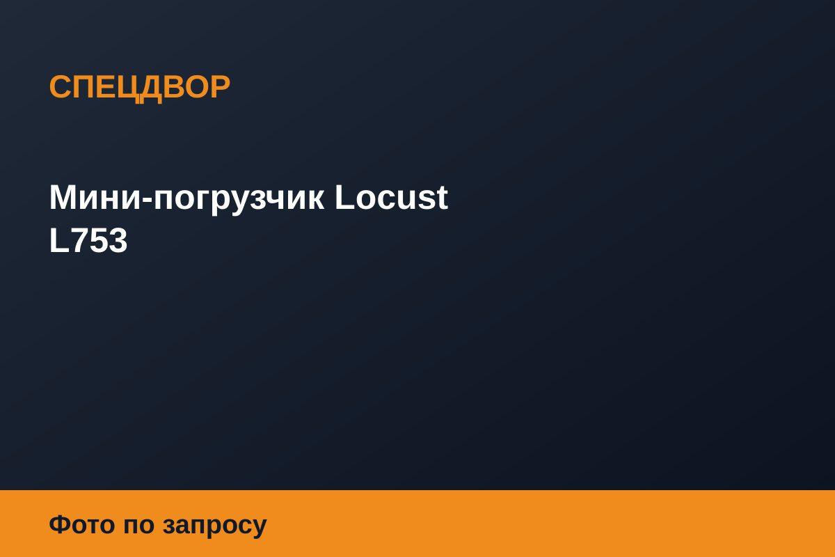 Мини-погрузчик Locust L753